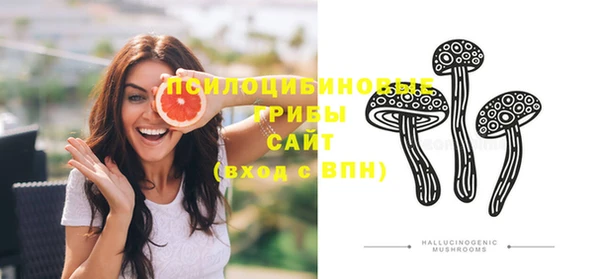 молекула духа Белокуриха