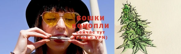 молекула духа Белокуриха