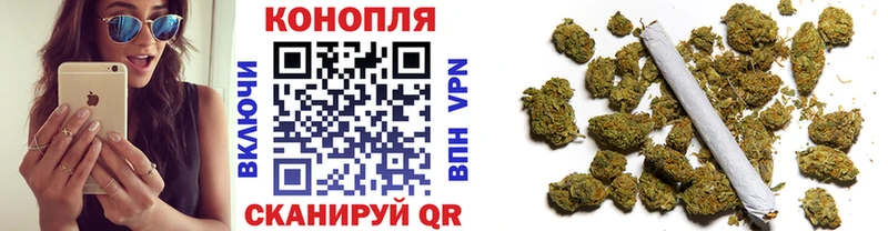 Шишки марихуана планчик Мглин